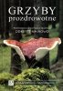 Grzyby prozdrowotne